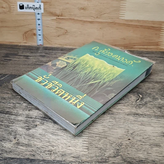 หนังสือ ชั่วชีวิตหนึ่ง รูปที่ 3