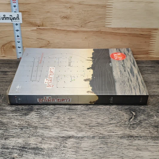 หนังสือ ลูกไม้ลายดาว รูปที่ 2
