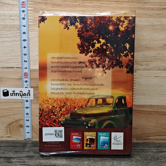 หนังสือ กับดักกามเทพ รูปที่ 5