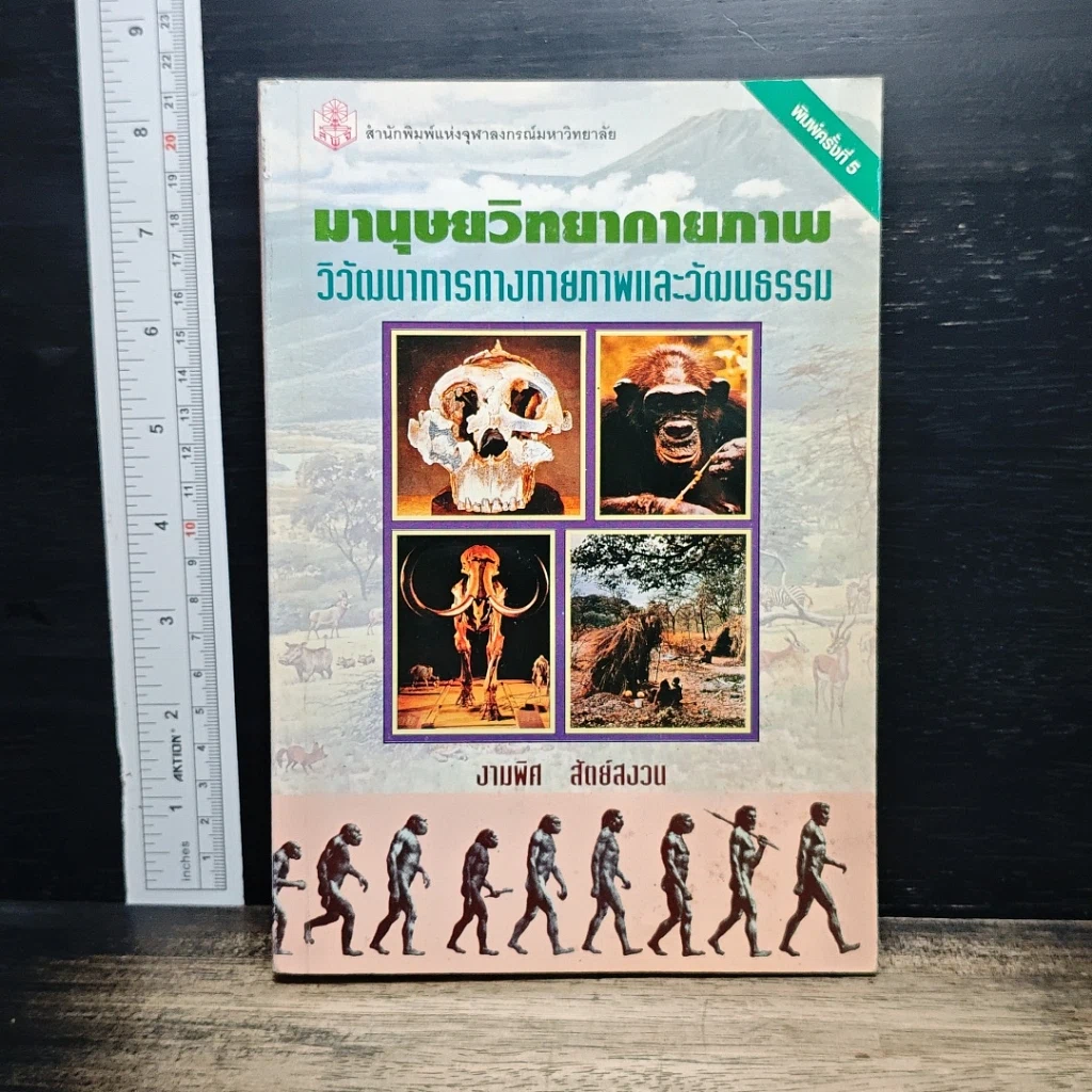 มานุษยวิทยากายภาพ: วิวัฒนาการทางกายภาพและวัฒนธรรม รูปที่ 1