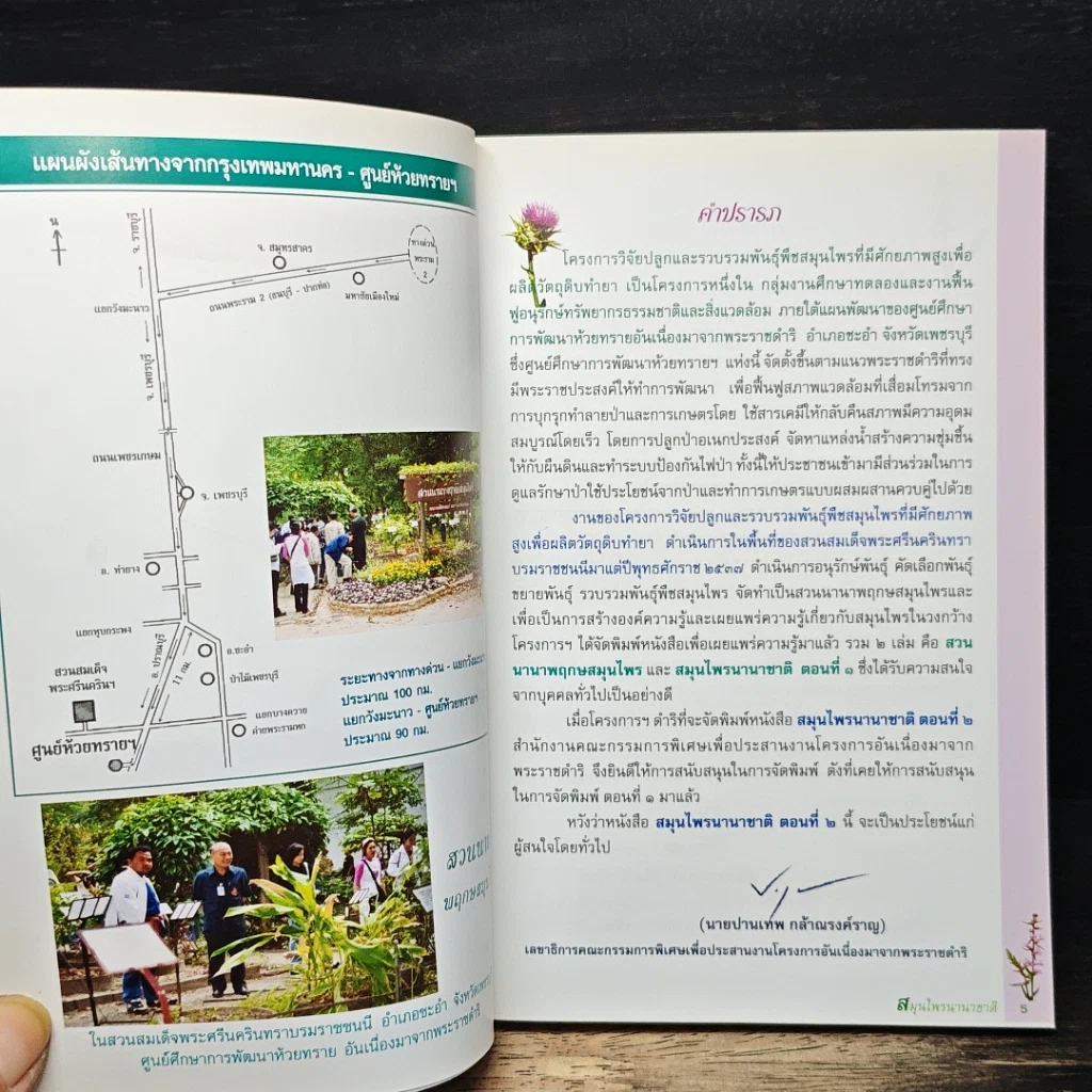 สมุนไพรนานาชาติ ตอนที่ 2 รูปที่ 7