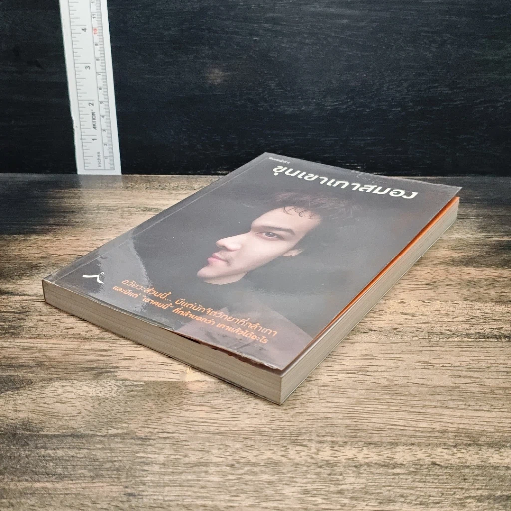 หนังสือ ขุนเขาเกาสมอง รูปที่ 4