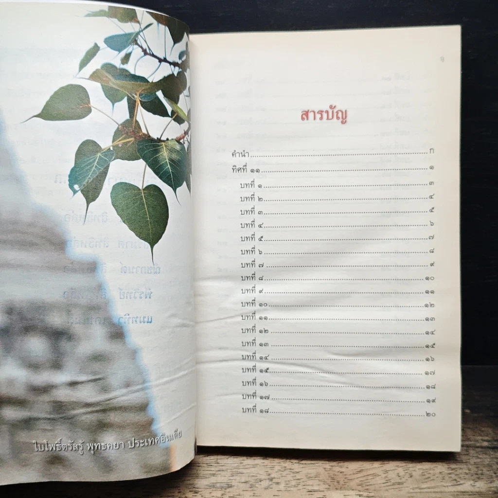 หนังสือ ทิศที่ 11 รูปที่ 7