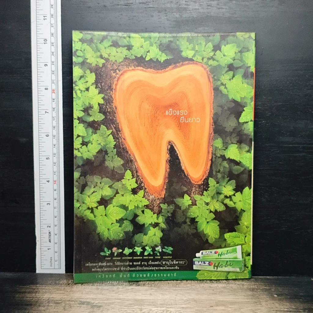 หนังสือ Advanced Thailand Geographic ปีที่ 8 ฉบับที่ 58 พ.ย.2545 รูปที่ 2