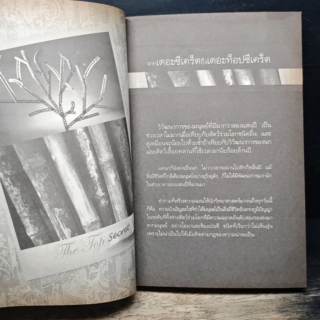 หนังสือ The Top Secret เดอะท็อปซีเคร็ต รูปที่ 9