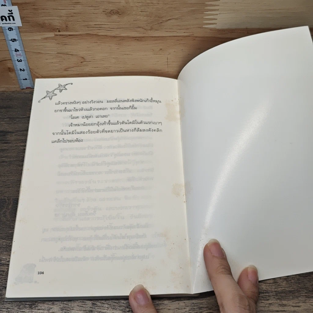หนังสือ มอลลี่มูน มหัศจรรย์วันหยุด รูปที่ 8