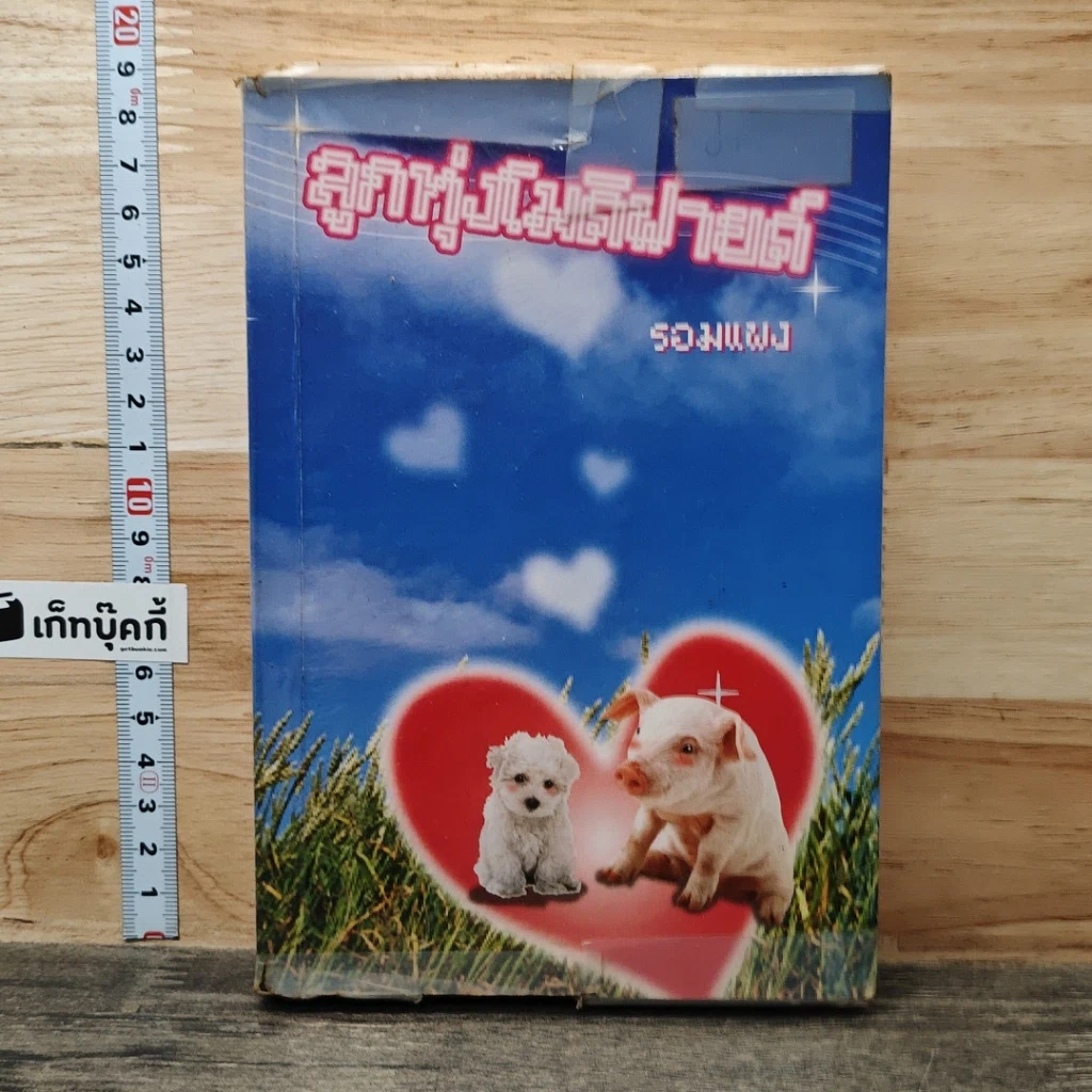 หนังสือ ลูกทุ่งโมดิฟายด์ รูปที่ 1