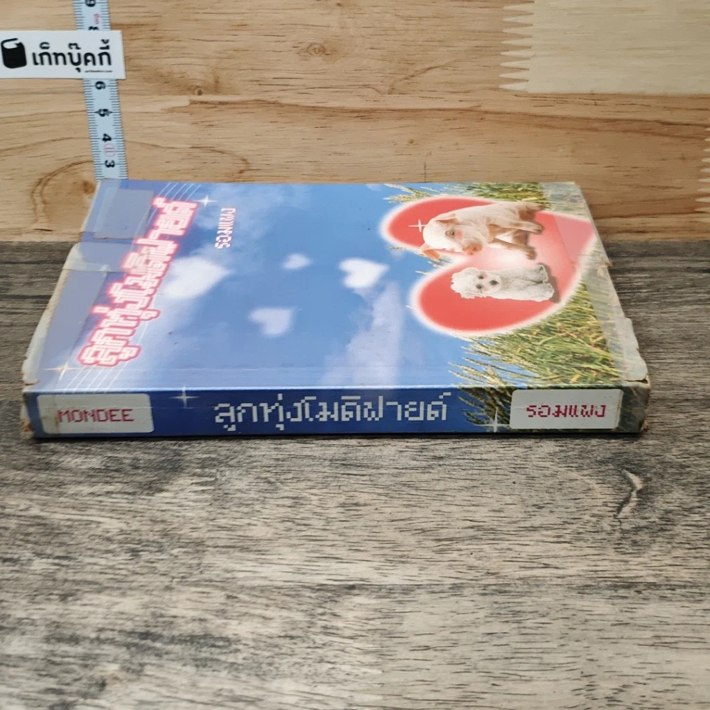 หนังสือ ลูกทุ่งโมดิฟายด์ รูปที่ 2