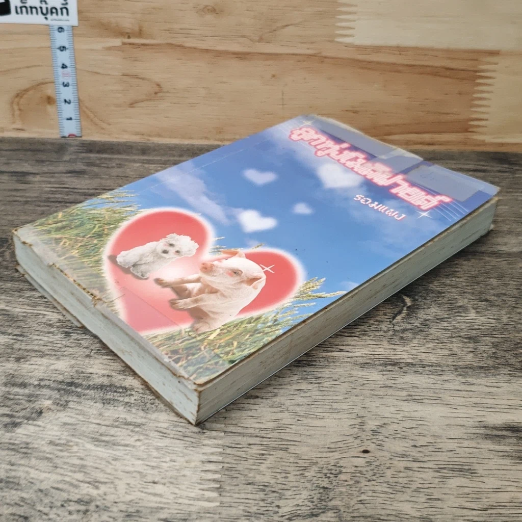 หนังสือ ลูกทุ่งโมดิฟายด์ รูปที่ 3