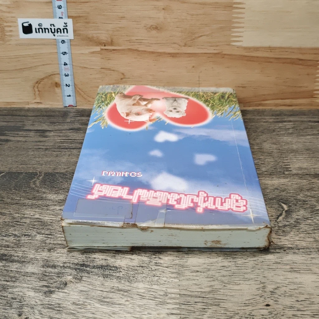 หนังสือ ลูกทุ่งโมดิฟายด์ รูปที่ 4