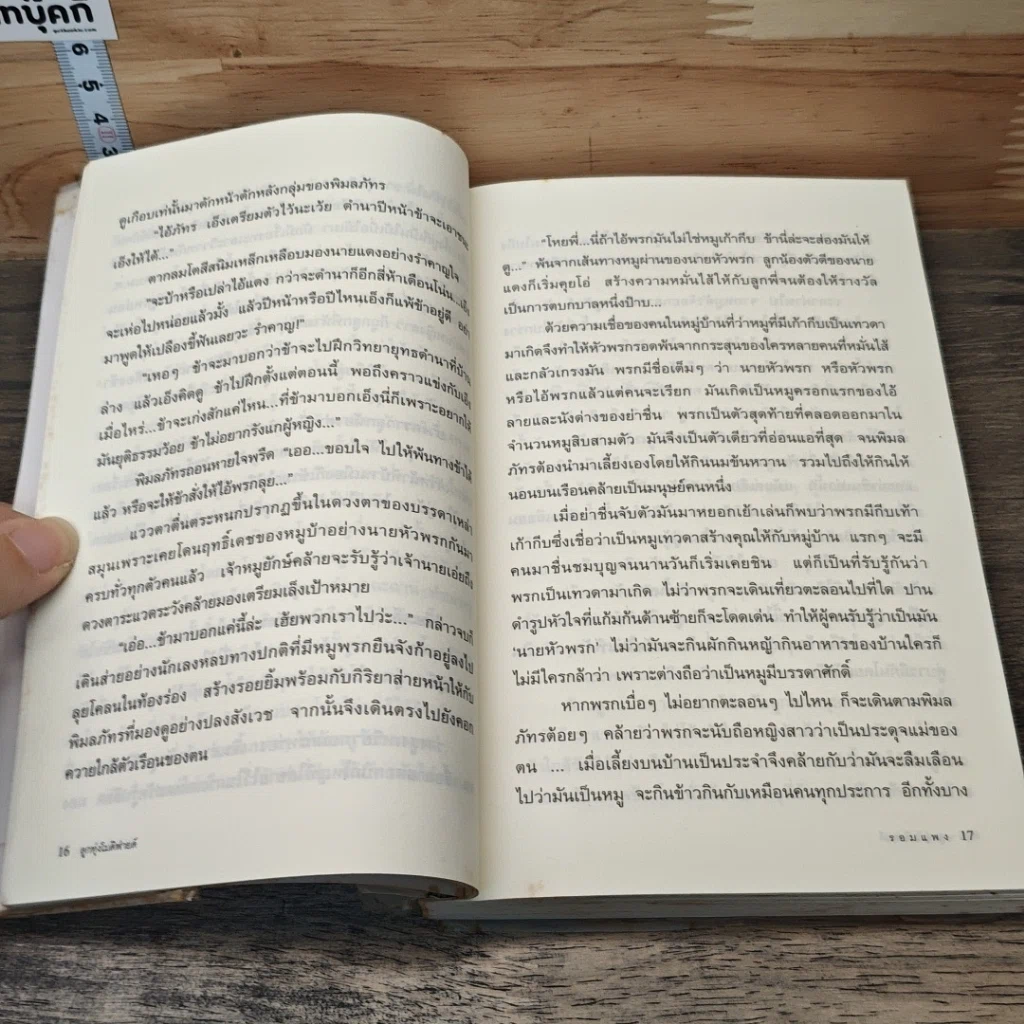 หนังสือ ลูกทุ่งโมดิฟายด์ รูปที่ 7