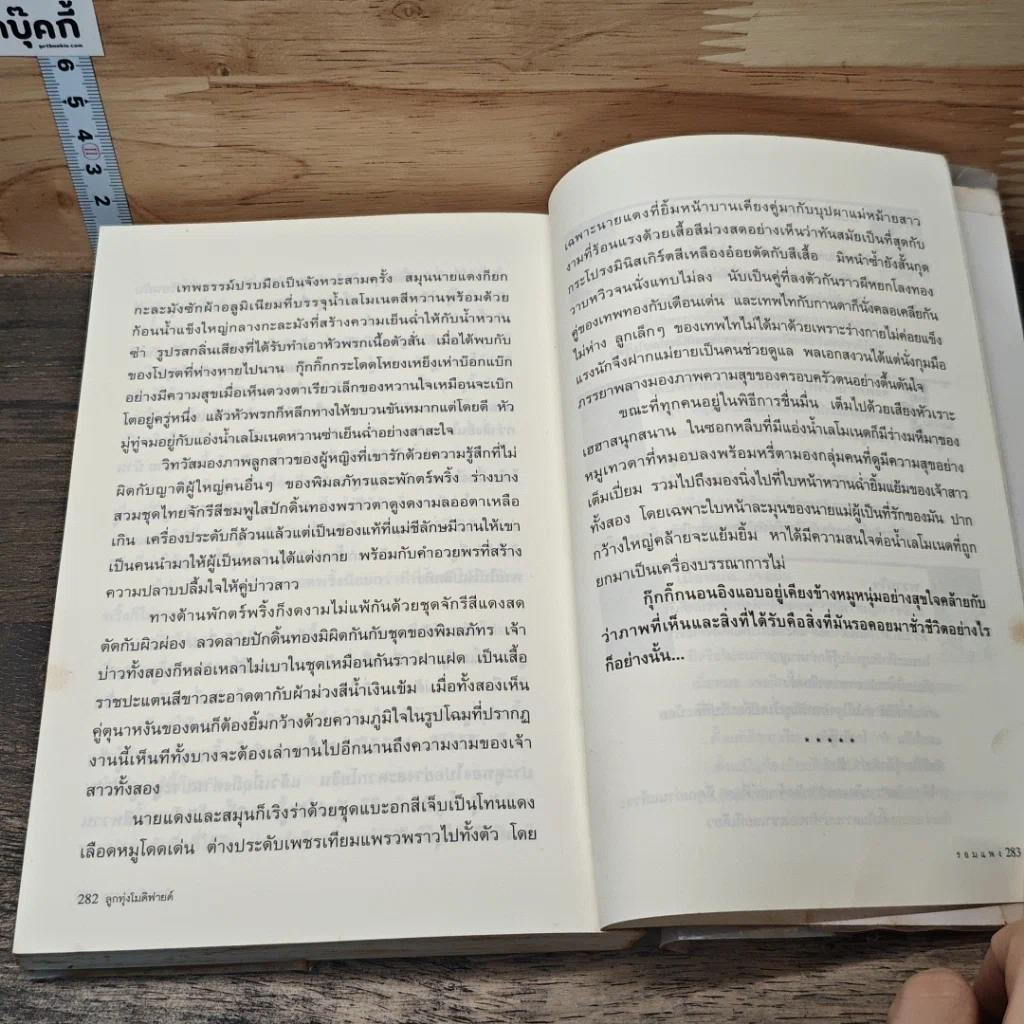 หนังสือ ลูกทุ่งโมดิฟายด์ รูปที่ 8