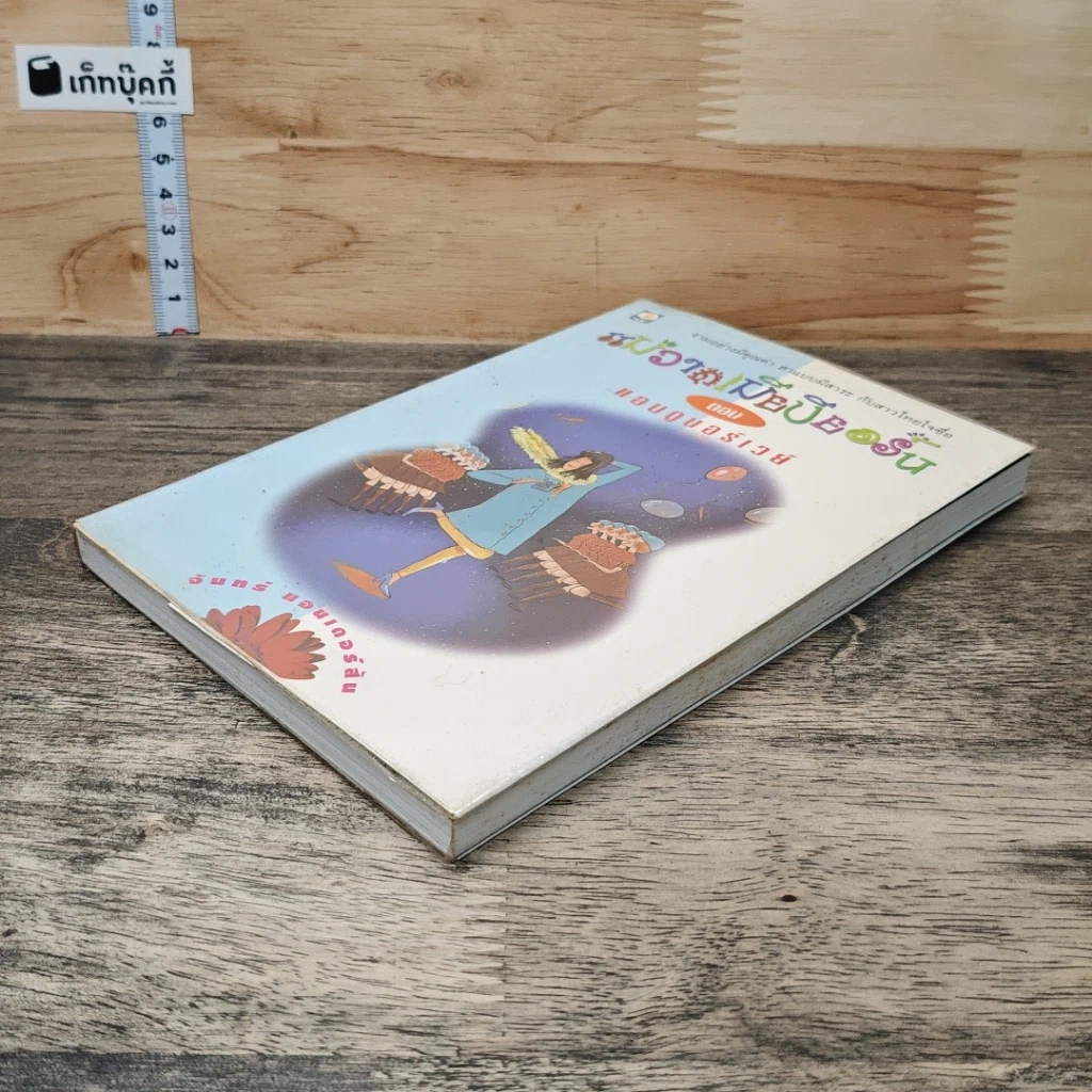 หนังสือ แม่วาดเมียบียอร์น ตอน แอบดูนอร์เวย์ รูปที่ 3