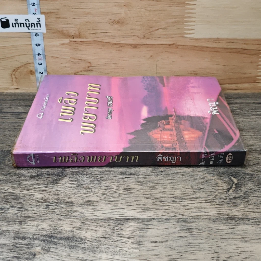 หนังสือ เพลิงพยาบาท รูปที่ 2