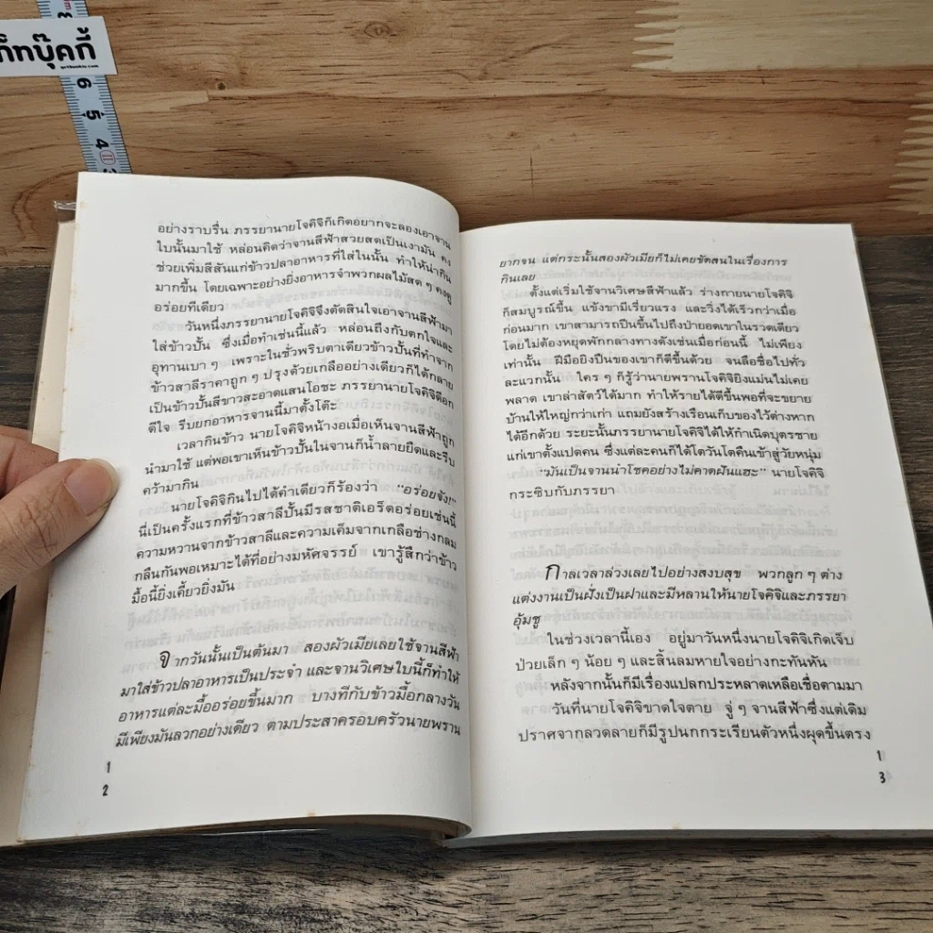 หนังสือ บ้านนกกระเรียน รูปที่ 8