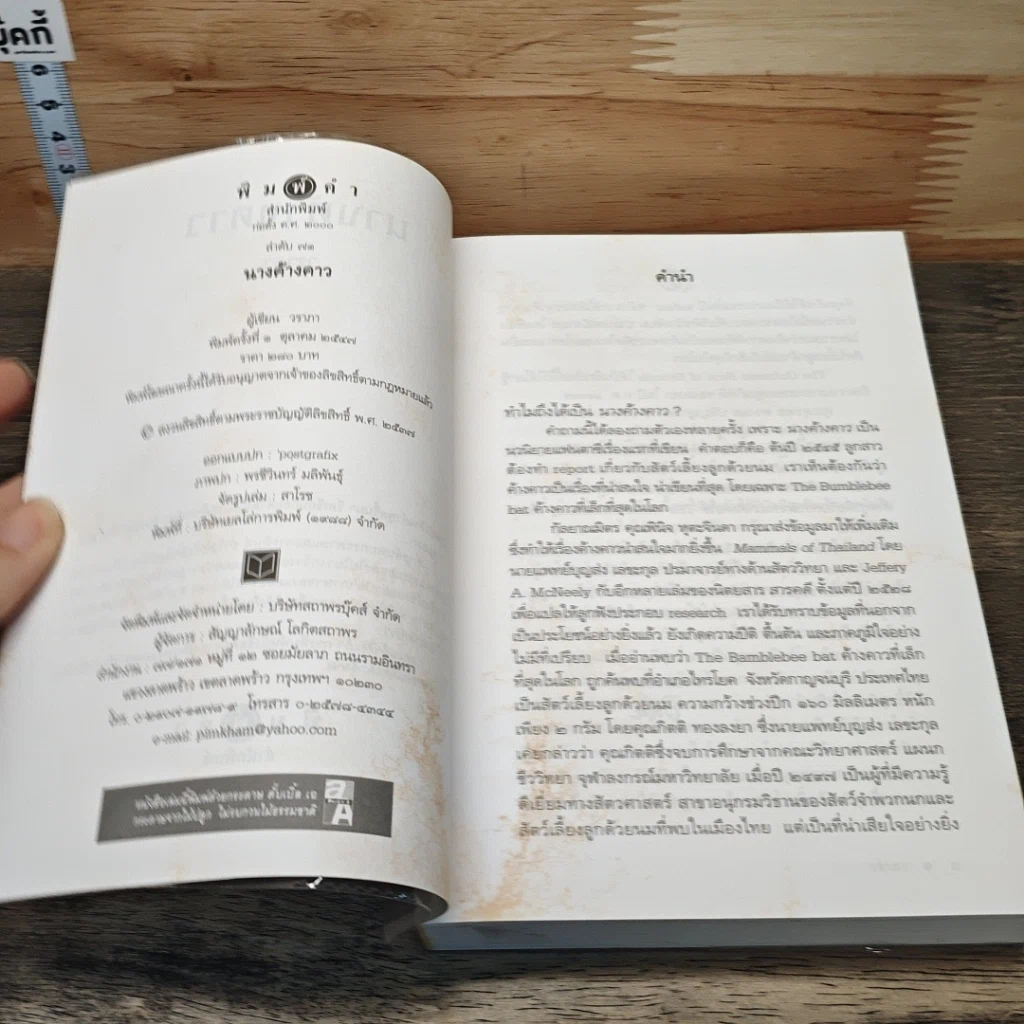 หนังสือ นางค้างคาว รูปที่ 6