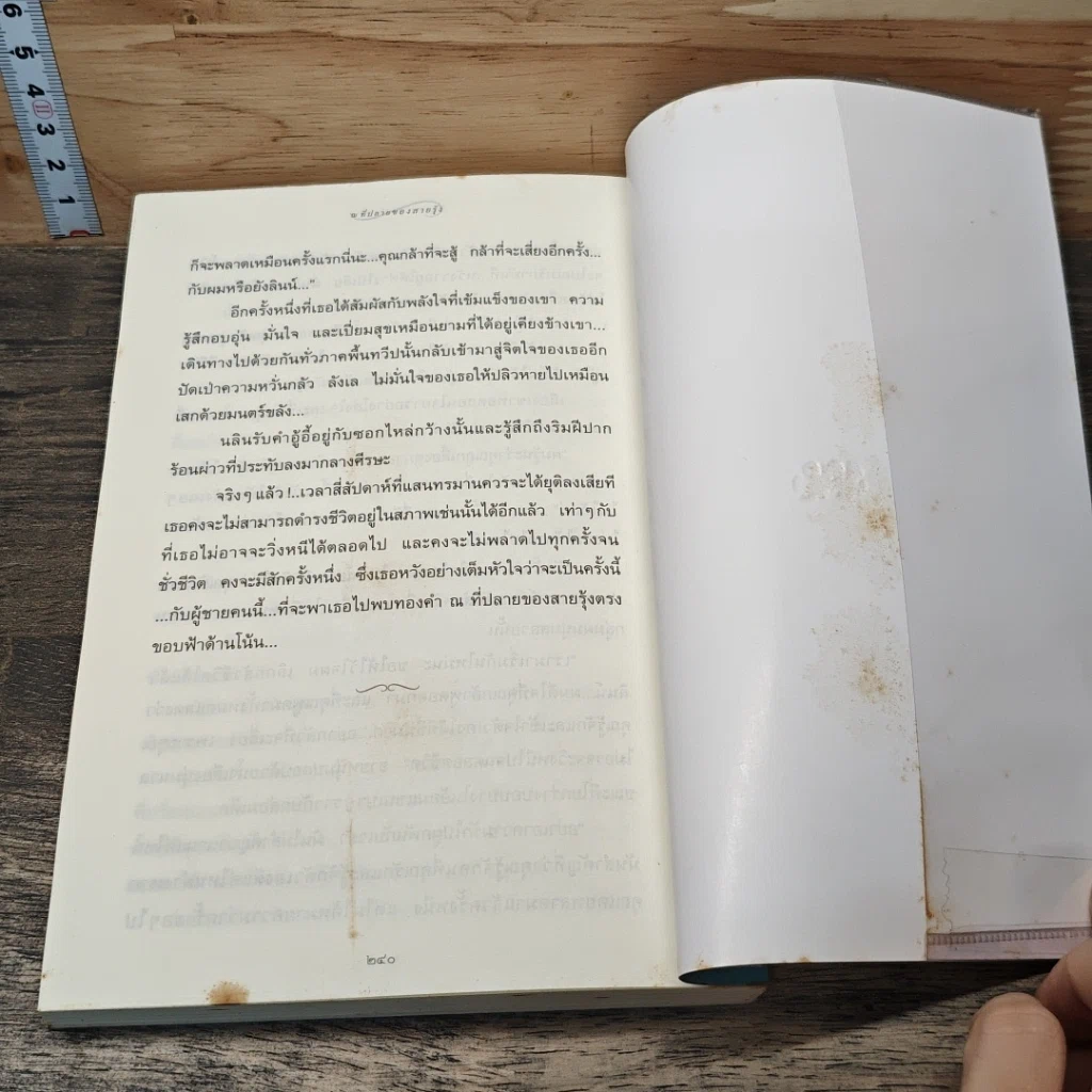 หนังสือ แสงตะวันในสายหมอก รูปที่ 8