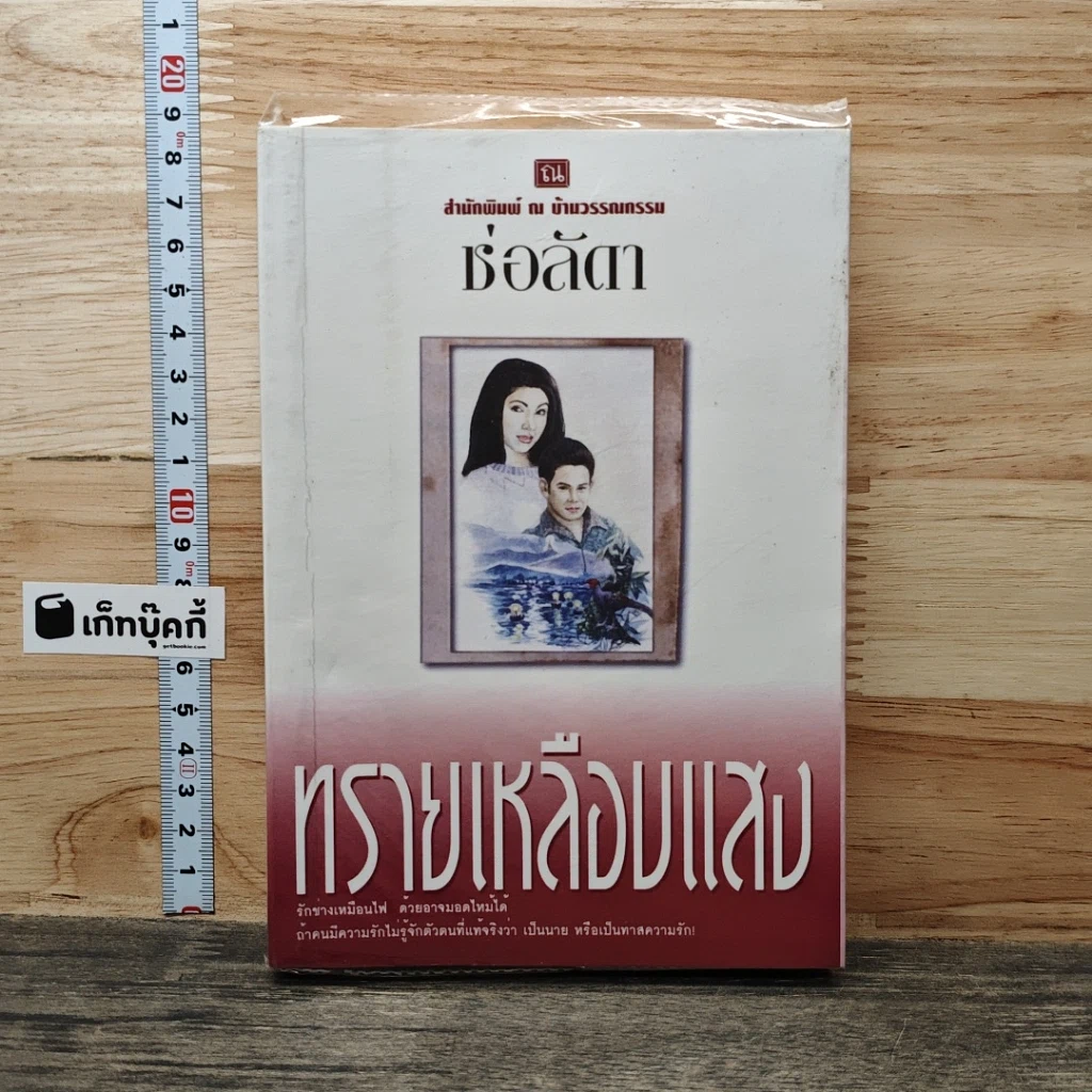 ทรายเหลือบแสง รูปที่ 1