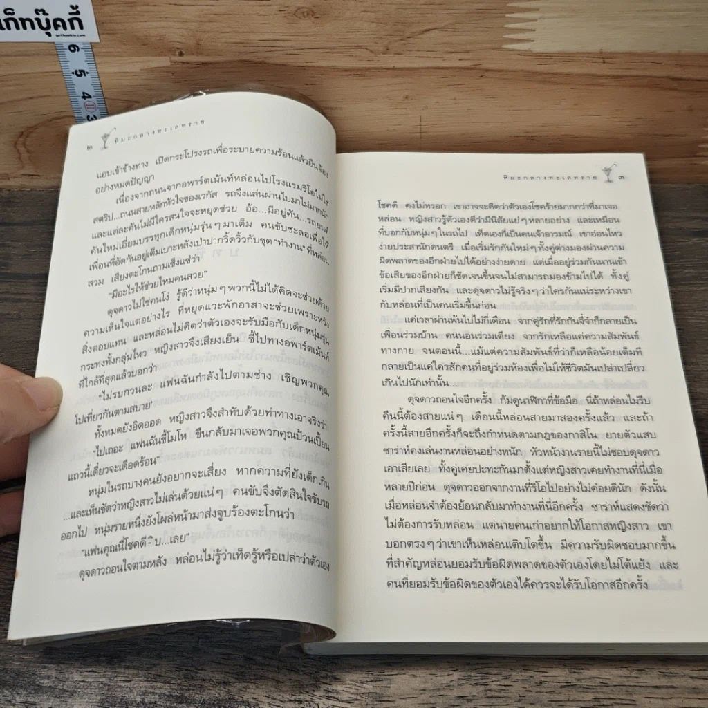 หิมะกลางทะเลทราย รูปที่ 8