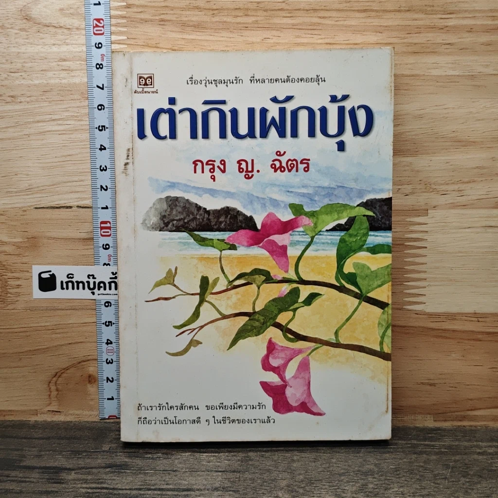หนังสือ เต่ากินผักบุ้ง รูปที่ 1