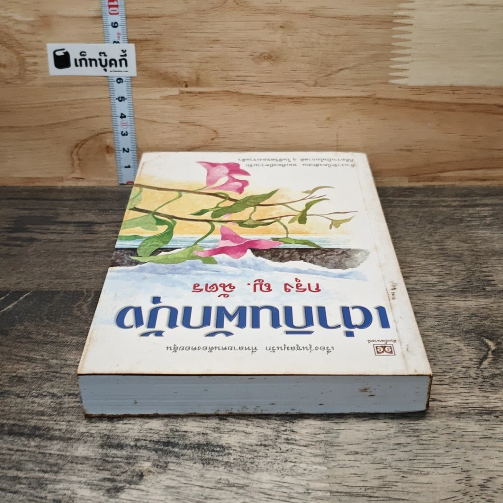 หนังสือ เต่ากินผักบุ้ง รูปที่ 4