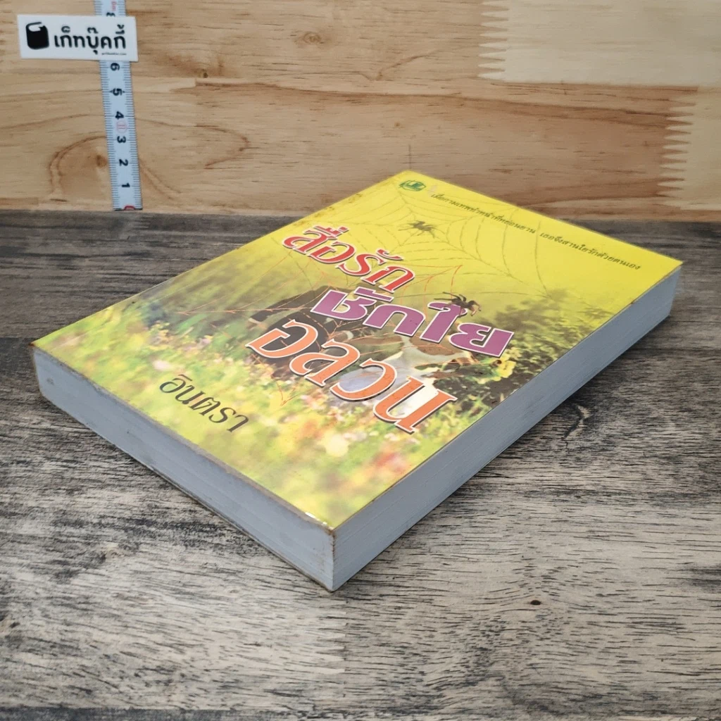 หนังสือ สื่อรักชักใยอลวน รูปที่ 3