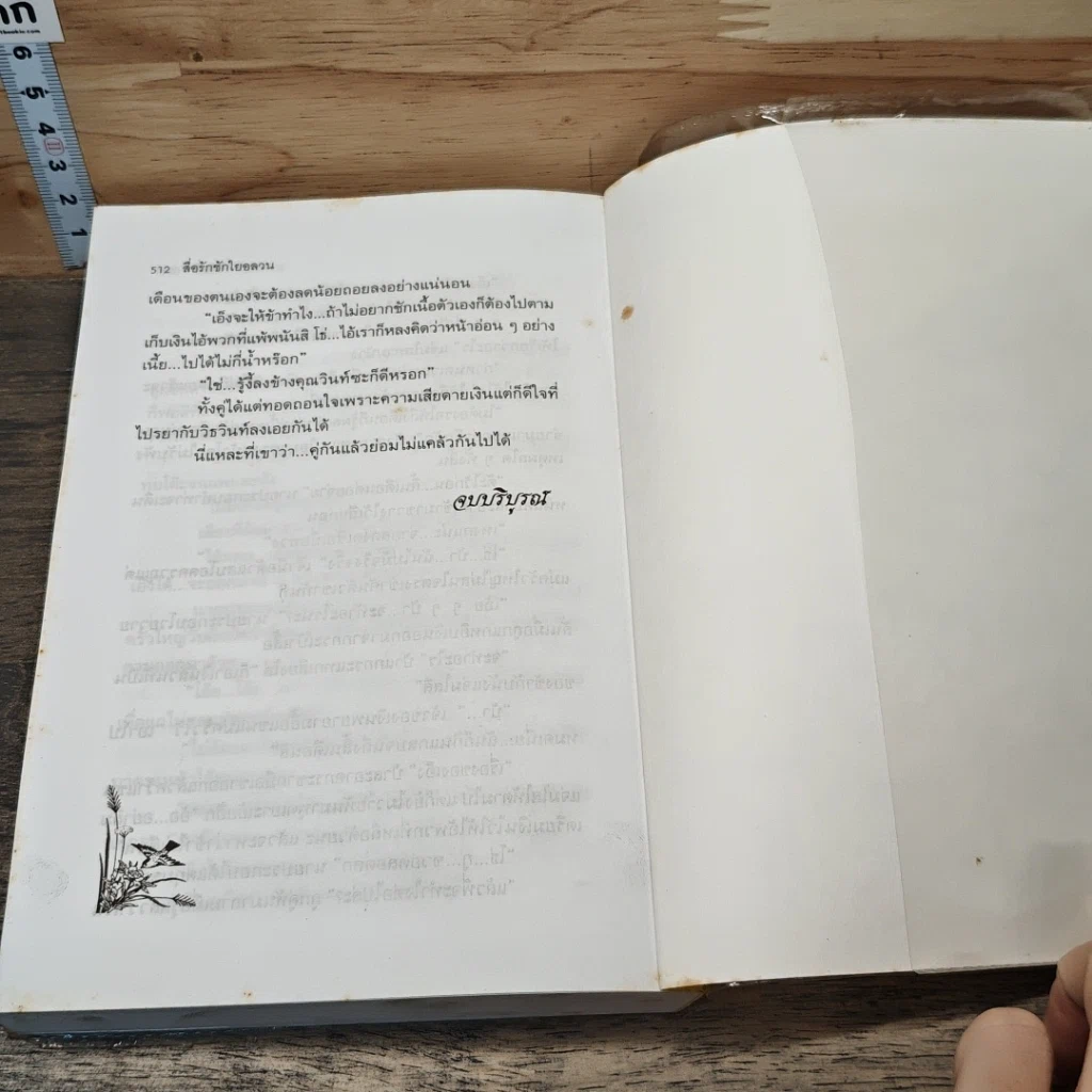 หนังสือ สื่อรักชักใยอลวน รูปที่ 8