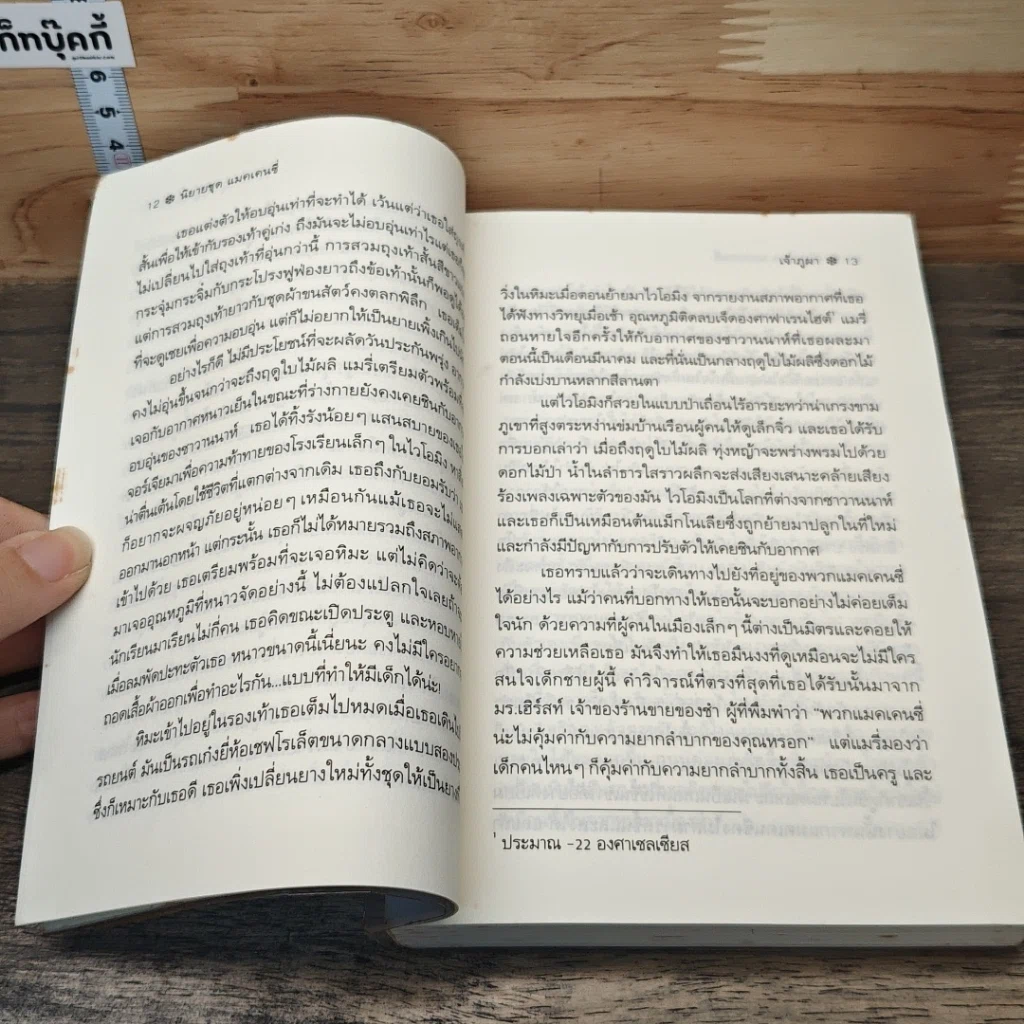หนังสือ เจ้าภูผา รูปที่ 7
