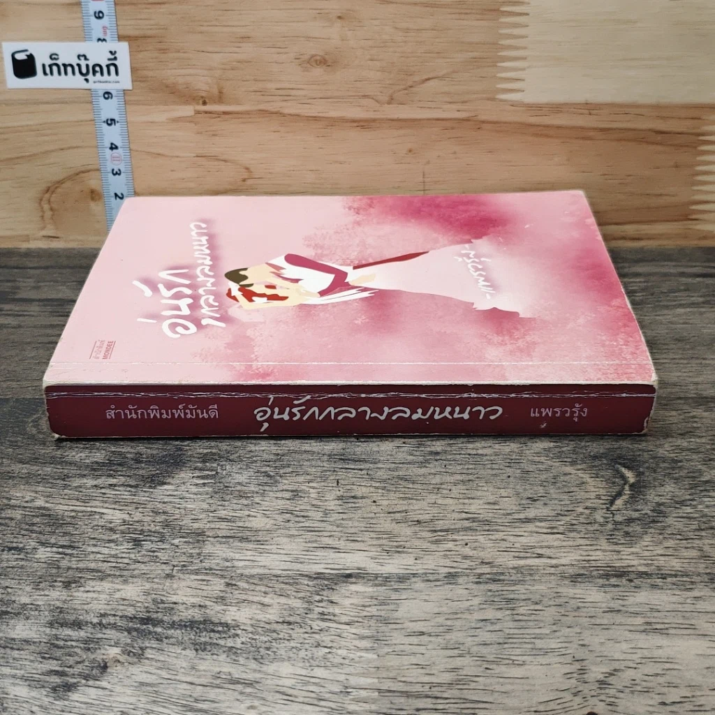 หนังสือ อุ่นรักกลางลมหนาว รูปที่ 2