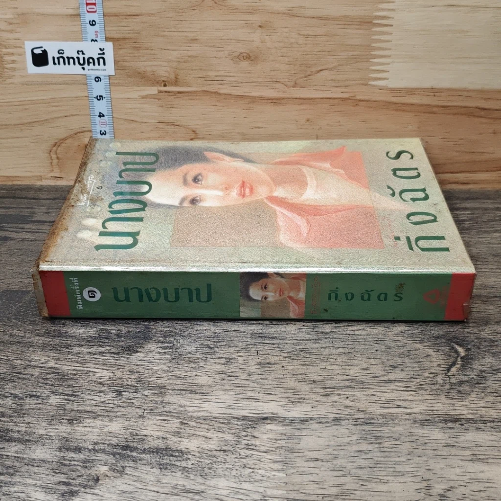 หนังสือ นางบาป รูปที่ 2