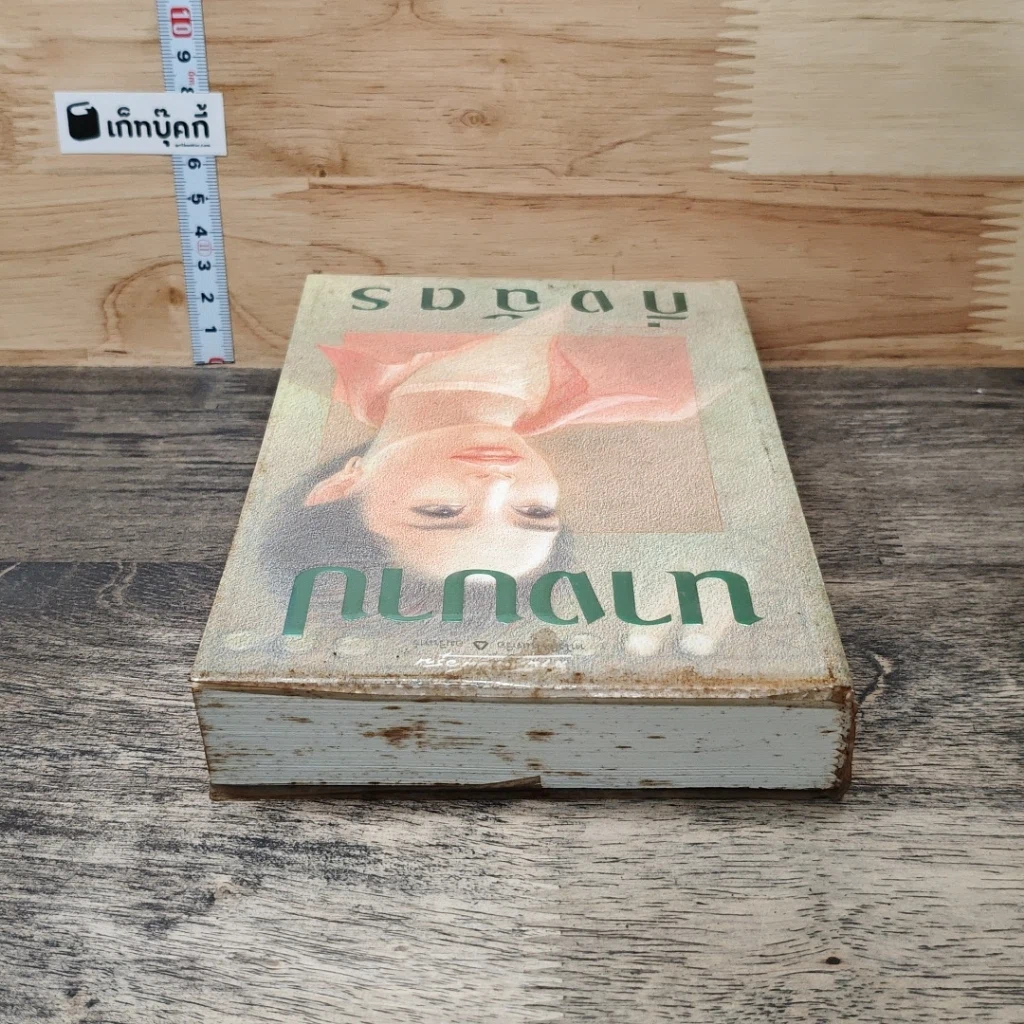 หนังสือ นางบาป รูปที่ 4