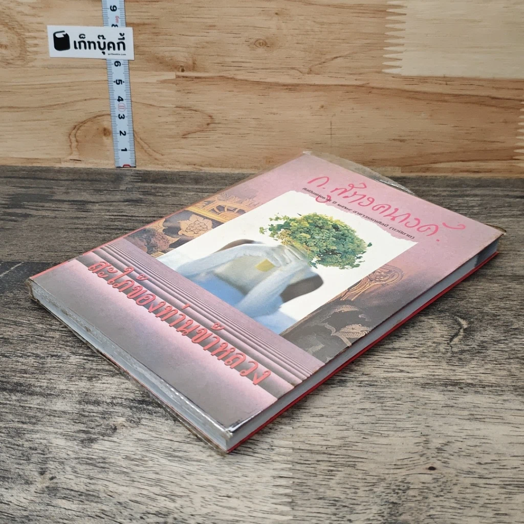 หนังสือ สะใภ้ของบ้านข้าหลวง รูปที่ 3