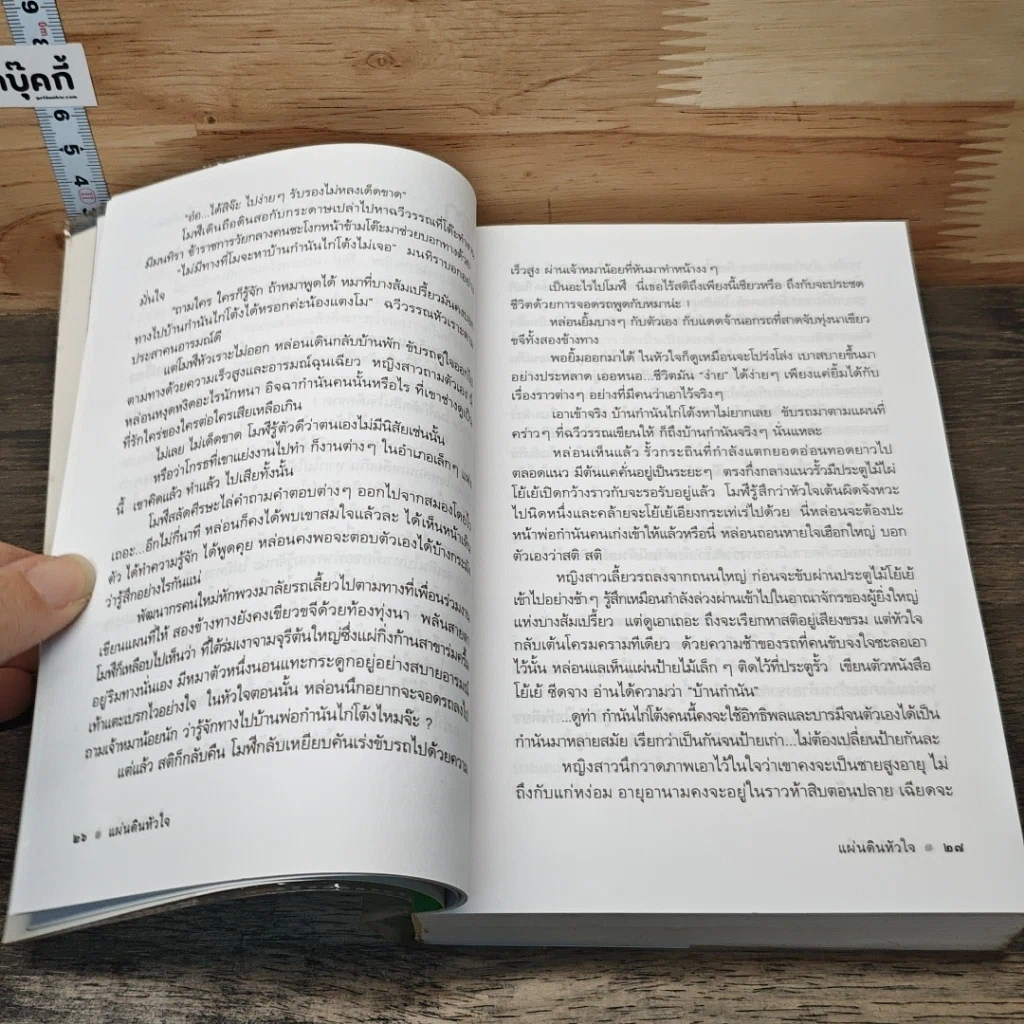 หนังสือ แผ่นดินหัวใจ รูปที่ 8