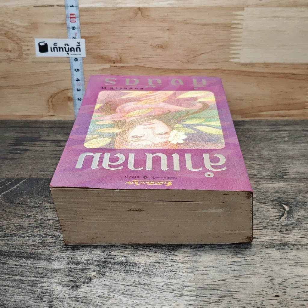 หนังสือ ลำเนาลม รูปที่ 4