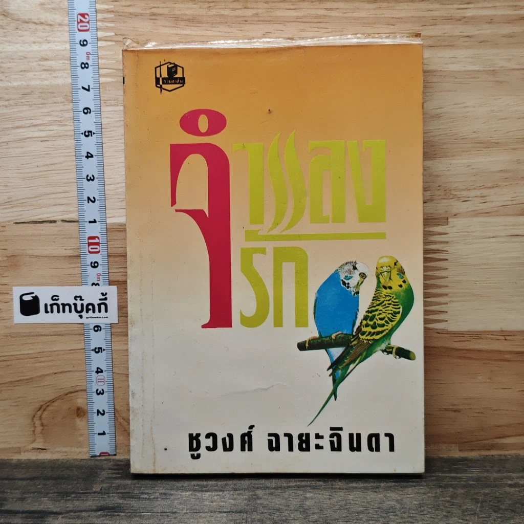 จำแลงรัก รูปที่ 1