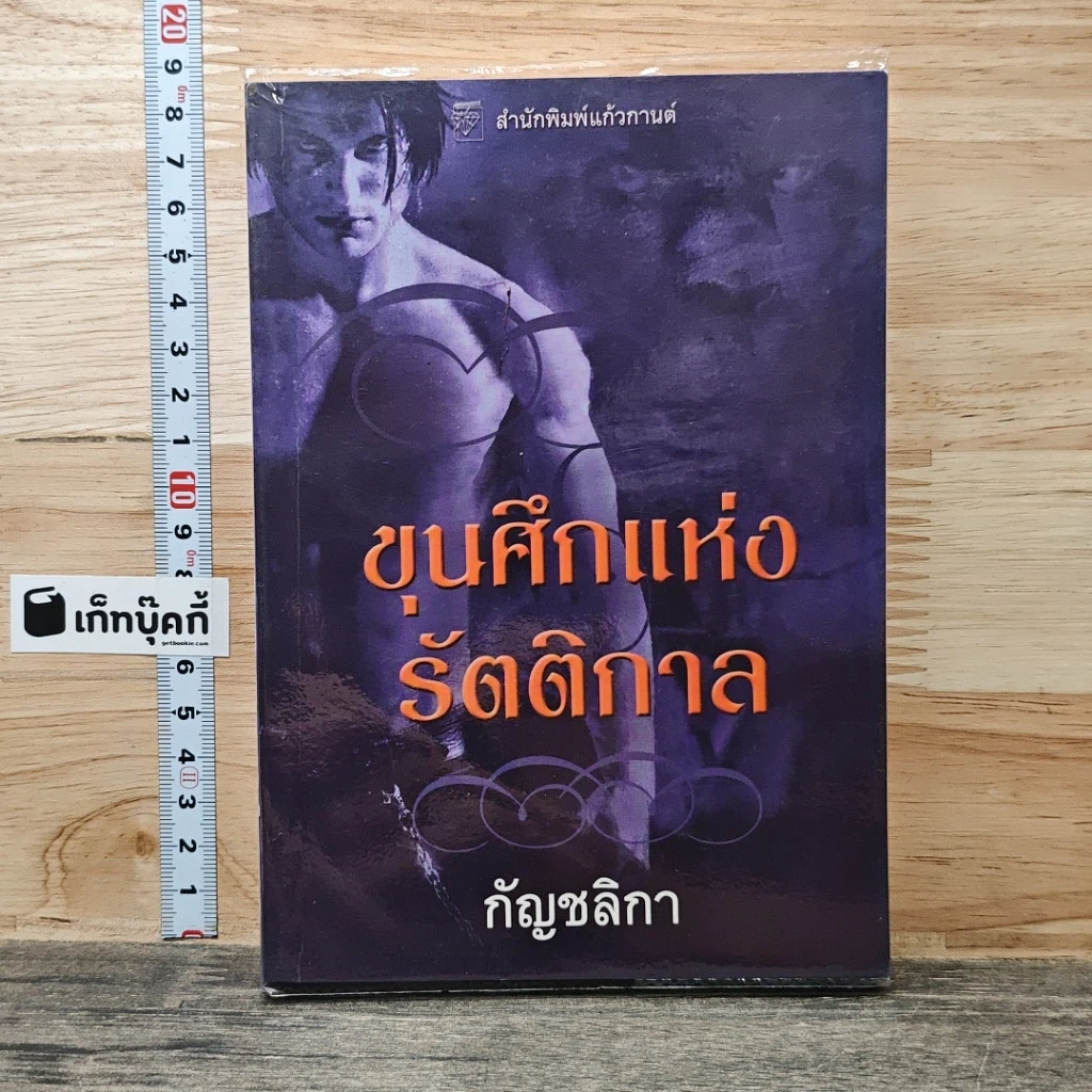 ขุนศึกแห่งรัตติกาล รูปที่ 1