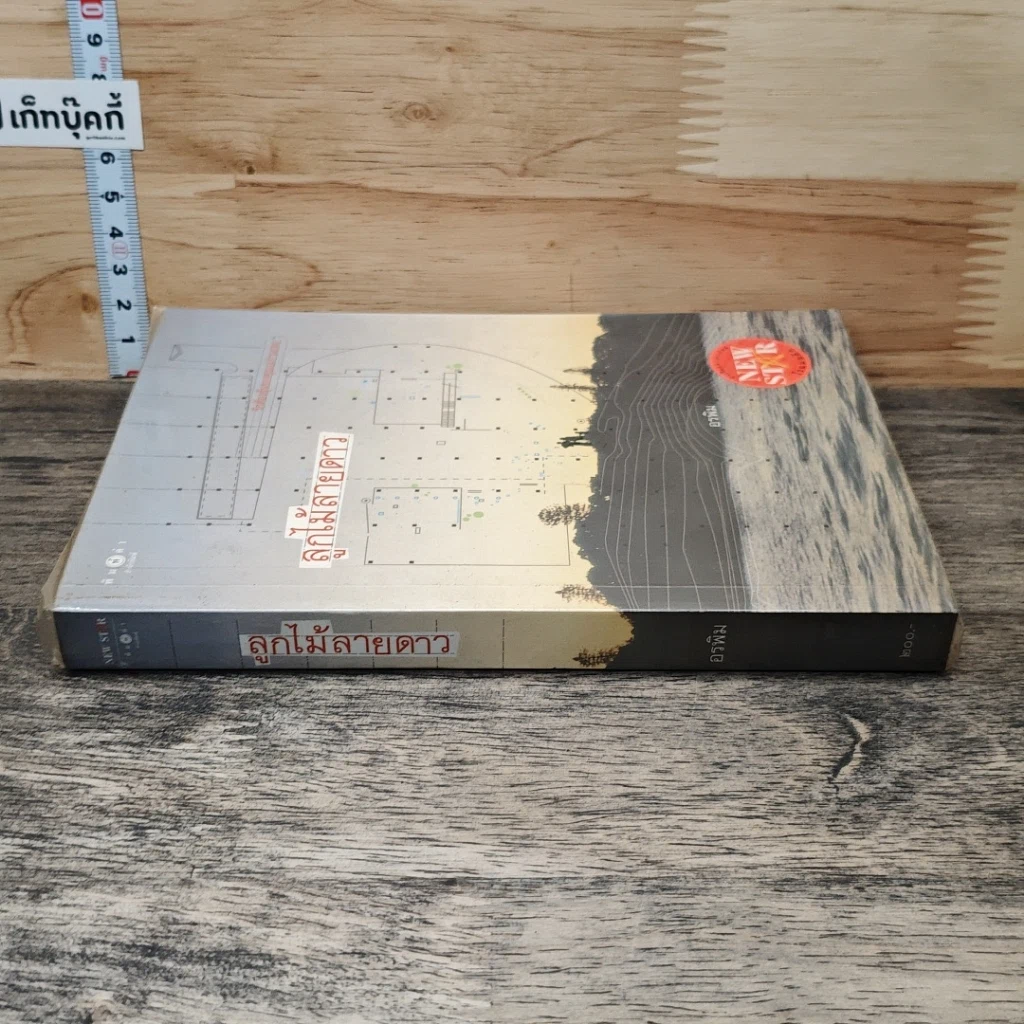 หนังสือ ลูกไม้ลายดาว รูปที่ 2
