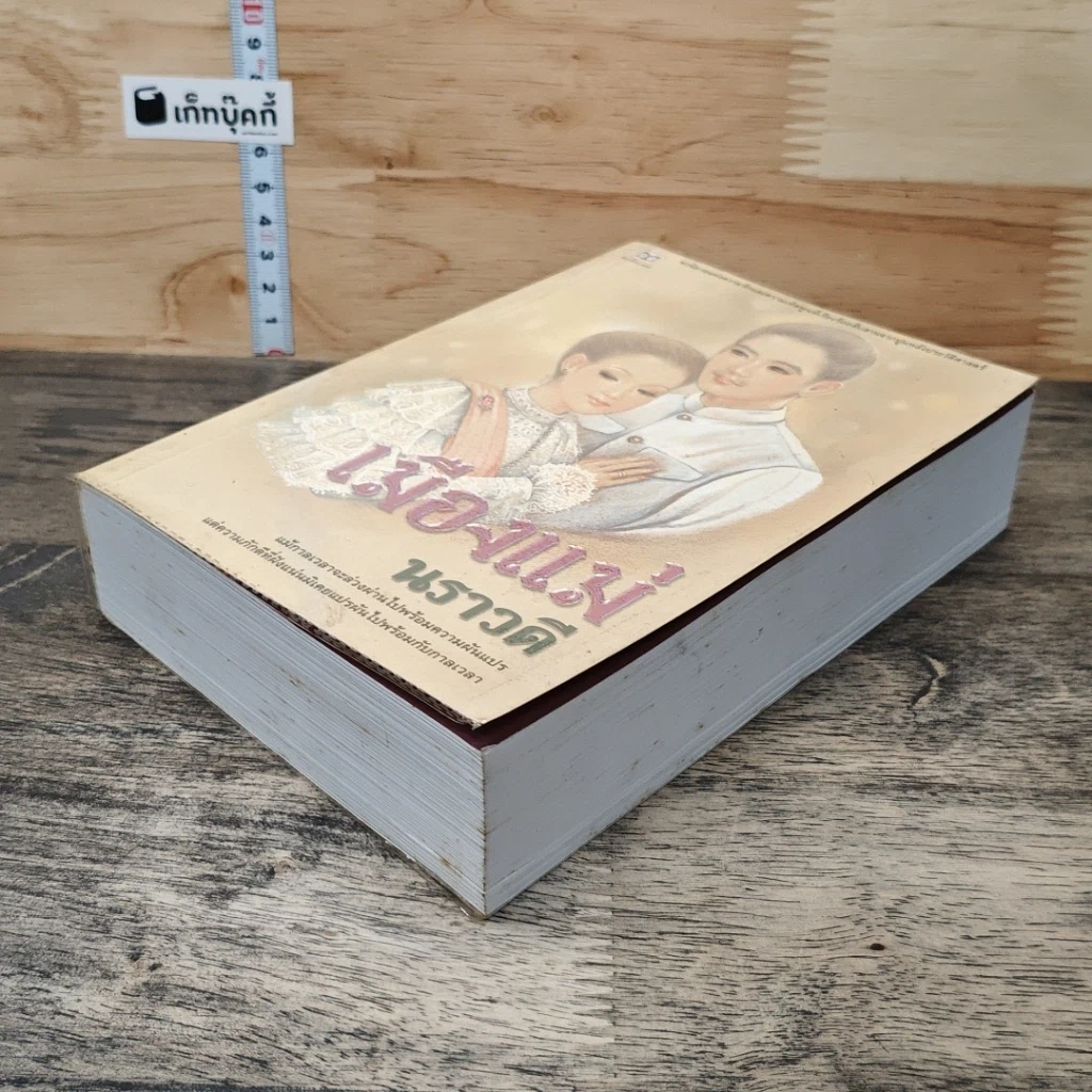 หนังสือ เมืองแม่ รูปที่ 3