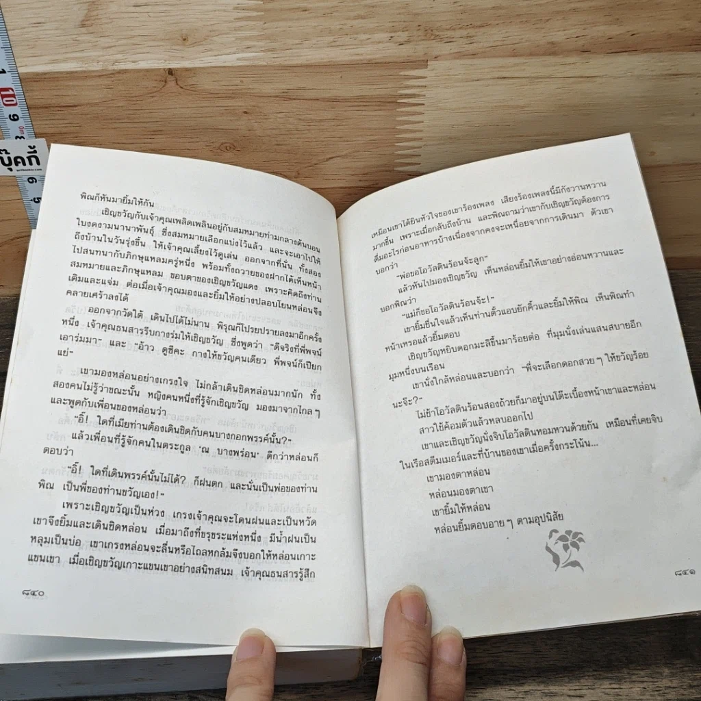 หนังสือ เมืองแม่ รูปที่ 8