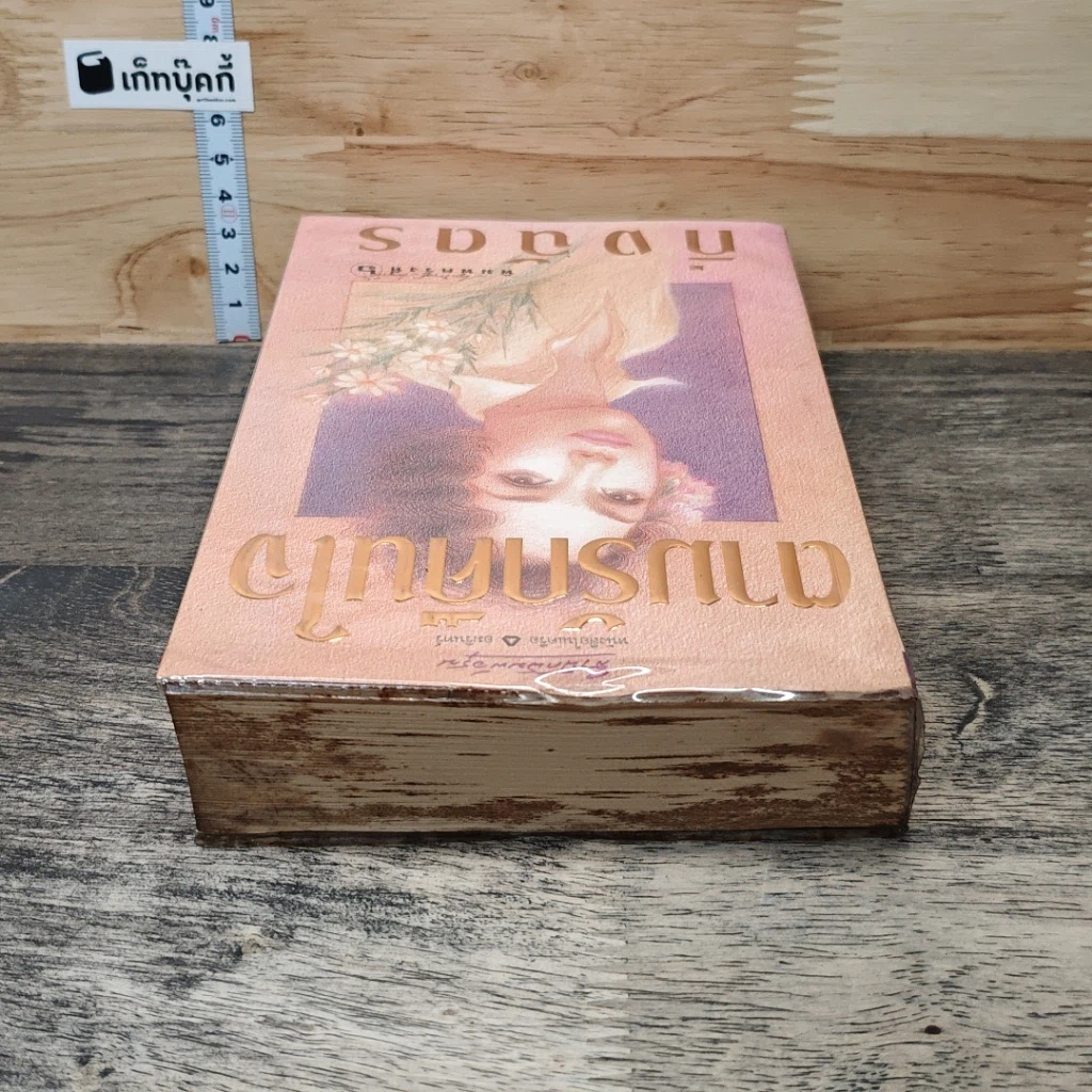 หนังสือ ตามรักคืนใจ รูปที่ 4