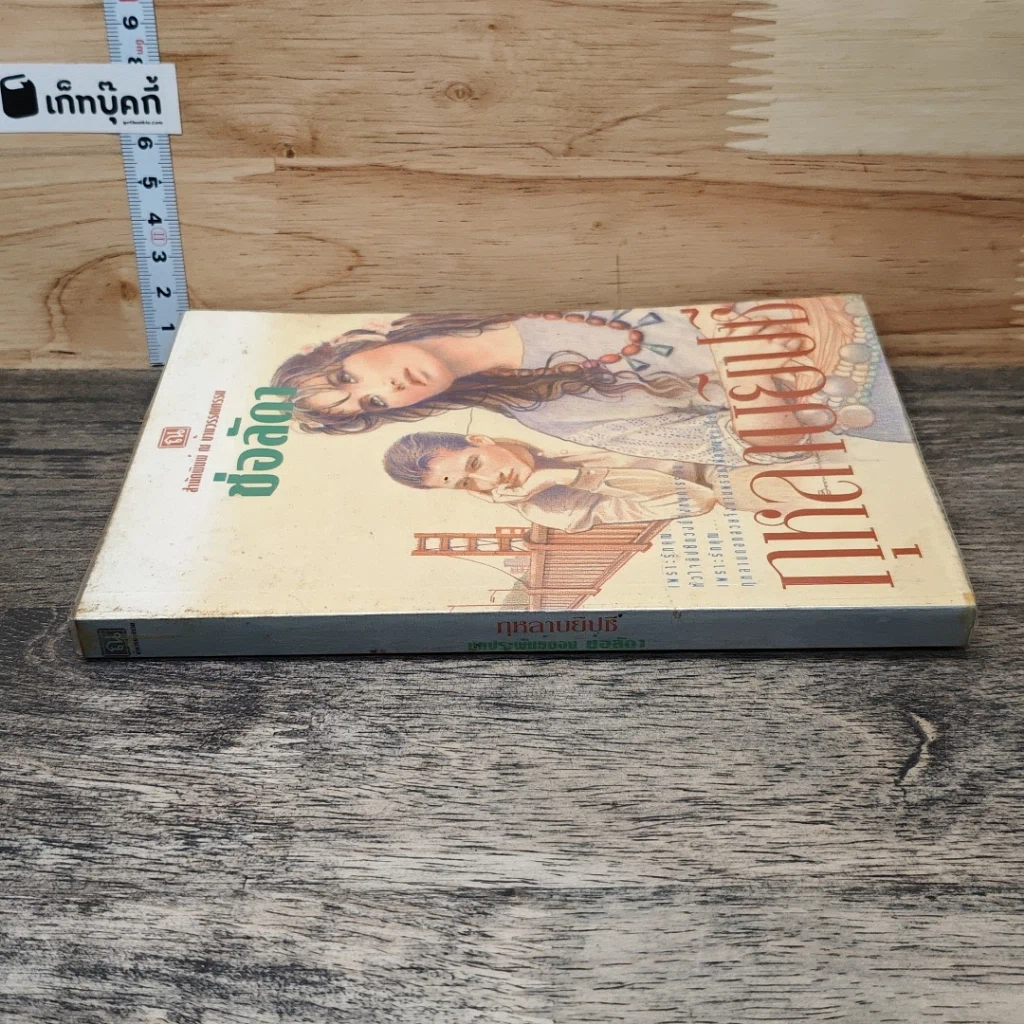 หนังสือ กุหลาบยิปซี รูปที่ 2