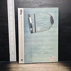 หนังสือ Advanced Thailand Geographic ปีที่ 10 ฉบับที่ 75 รูปที่ 2
