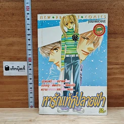 หนังสือ หารักแท้ที่ปลายฟ้า