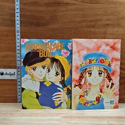 หนังสือ เธอคือนางเอก 2 เล่มจบ รูปที่ 2