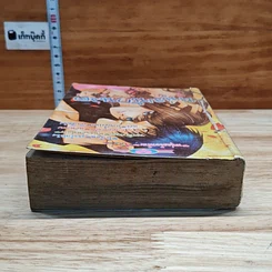 หนังสือ หนุ่มนักนวดนิ้วทอง เล่มเดียวจบ รูปที่ 5
