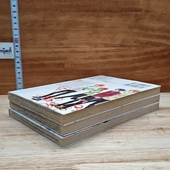 THE PERFECT ROSE เดอะเพอร์เฟกต์ โรส 3 เล่มจบ Boxset รูปที่ 7