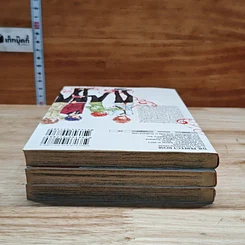 THE PERFECT ROSE เดอะเพอร์เฟกต์ โรส 3 เล่มจบ Boxset รูปที่ 8
