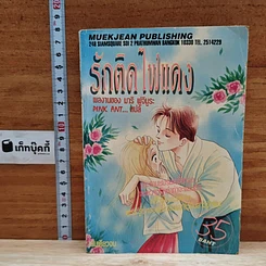 รักติดไฟแดง เล่มเดียวจบ