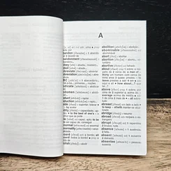 Dicionário Mini: Inglês-Português รูปที่ 7