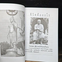 ชีวิตคืออะไร รูปที่ 7